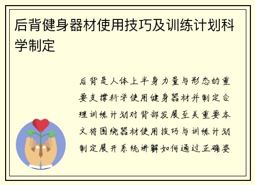 后背健身器材使用技巧及训练计划科学制定